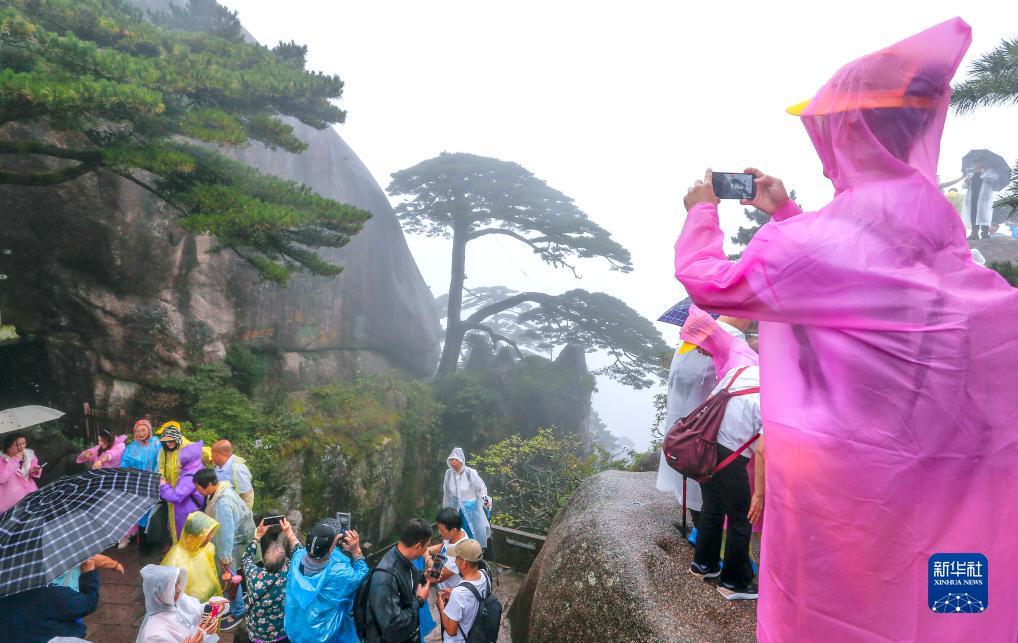 宝马奔驰3555在线平台